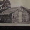 Hut made of kerosene tins in the Gully, Katoomba